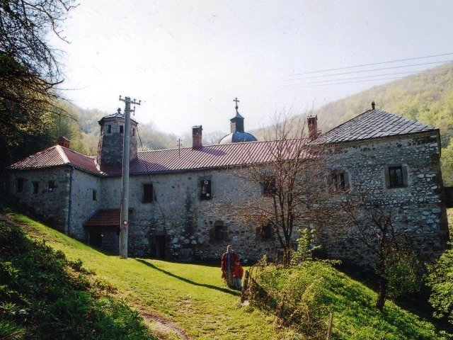 Photograph